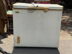 single door freezer