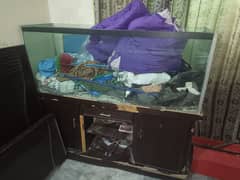 Aquarium 5 feet for sale 12mm Glass