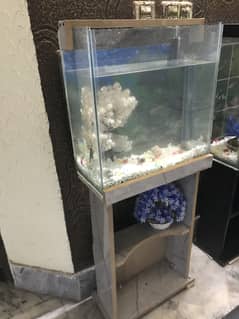 1.5ft Fish Aquarium Setup