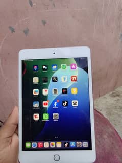 iPad mini 5 64