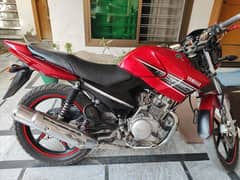 Yamaha YBR for sale
