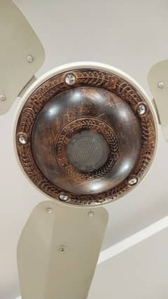 10/10 extremely high quality fancy celling fan