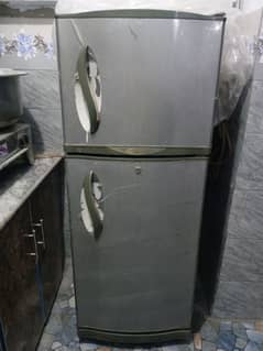 Waves Refrigerator