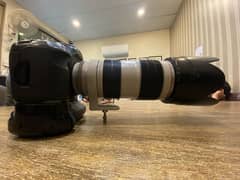 5d mark III