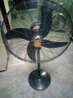 pedistal fan