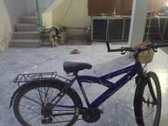 cycle