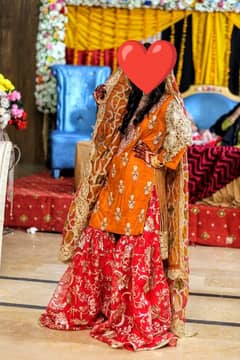 net shirt with pure inner ,organza sharrara,organza duppata