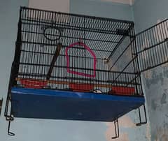 Master  Cage