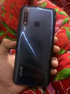 Vivo
