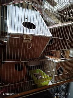 Flying Cage,Love Birds Boxes  Water and Food pots