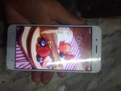 03175452649 7500