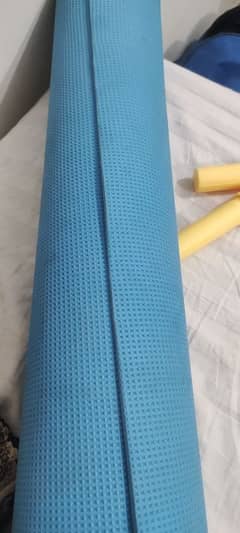 fitness and gym exercise equipment