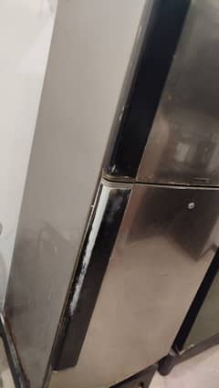 PEL BIG FRIDGE 10/10