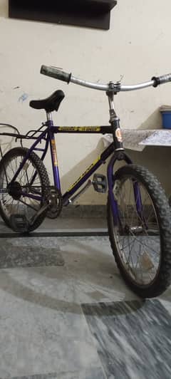 Original Phoenix cycle_18 speed