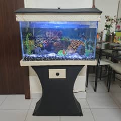 Fish Aquarium Tank with 3 Koi Fishes
