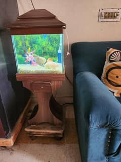 fish aquarium with fishes