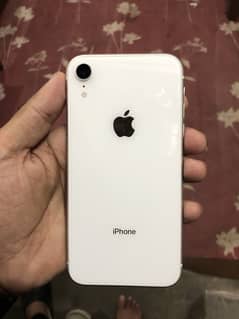 I phone XR non pta