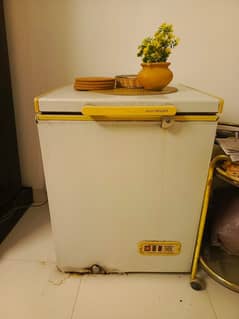 Deep Freezer - Dawlance