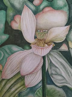Flower Painting