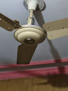 selling ceiling fan 100% copper and working