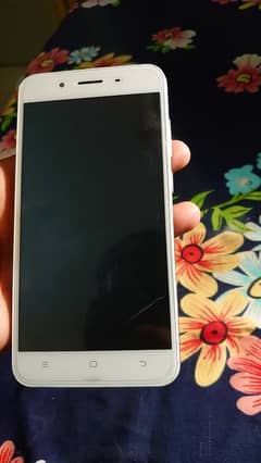 vivo y66 pta approved