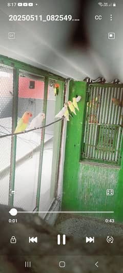 for