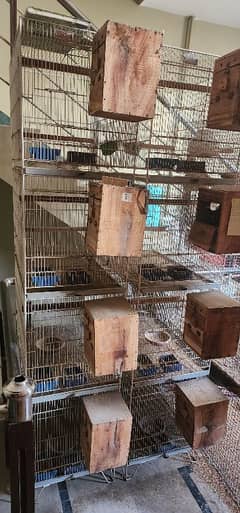 love birds breading tower cages, 4 khanay ka 1 tower