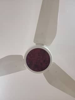 Pak fan 75watts