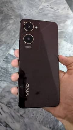 vivo