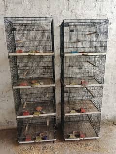 2 cages =4 portion cage =per portion size 2x1.5x1.5
