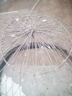 03146545113