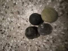 balls