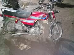 fir sale