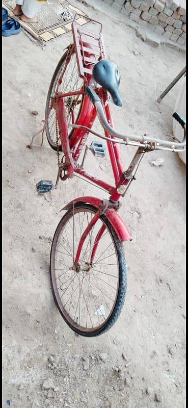 sohrab cycle small size 3
