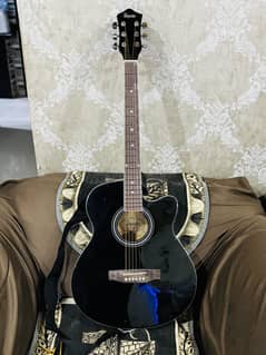 Professional Guitar