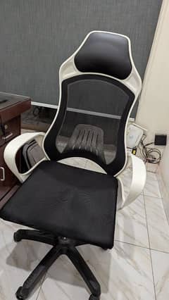 Office Chairs