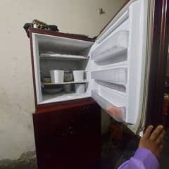 freezar sal