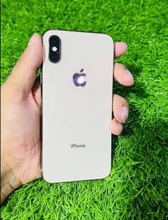 Iphone xs Officially Dual PTA approved