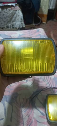 Halogen Fog Lamps