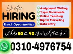 Online Part time/full time/home job/Assignments/Typing/Data entry/Ads