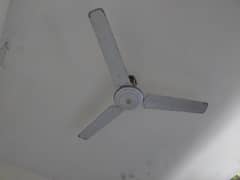 Pak ceiling fans , yunas ceiling fans for sell