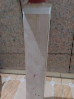 Hard ball bat original ca