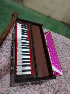 Indian harmonium