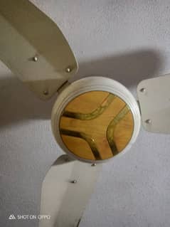 Ceiling Fan