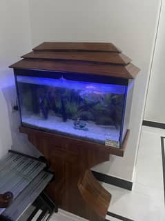 Eqvarium 2.5x2.5