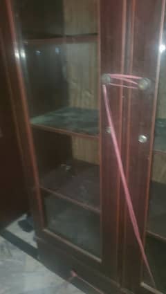 SHOW