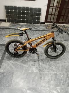 Bicycle (Imported)