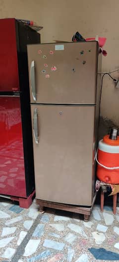 heir medium size fridge