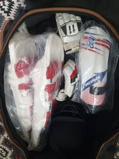 Cricket kit