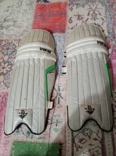 Cricket Pads